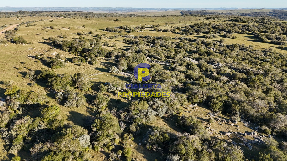55 hectáreas con tajamar y monte nativo - GoPunta - Portal Inmobiliario de Punta del Este - Maldonado