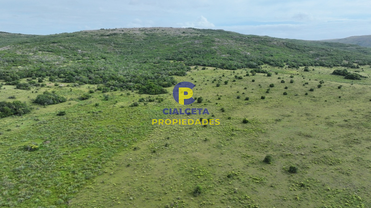 61 hectáreas en Maldonado - GoPunta - Portal Inmobiliario de Punta del Este - Maldonado