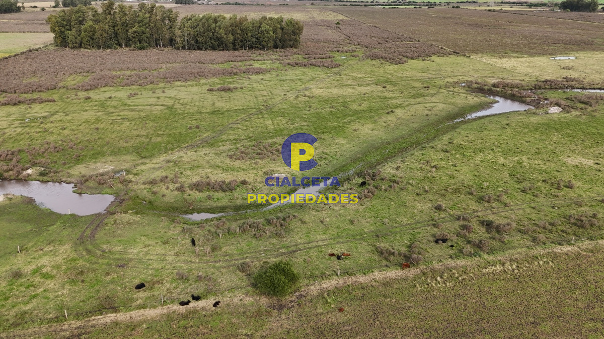 37 hectáreas sobre ruta, con excelente acceso - GoPunta - Portal Inmobiliario de Punta del Este - Maldonado