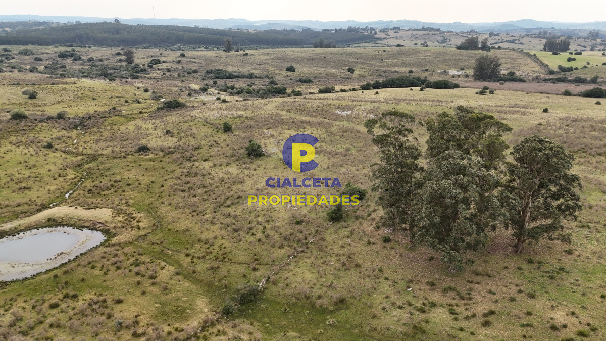 267 hectáreas en Maldonado - GoPunta - Portal Inmobiliario de Punta del Este - Maldonado