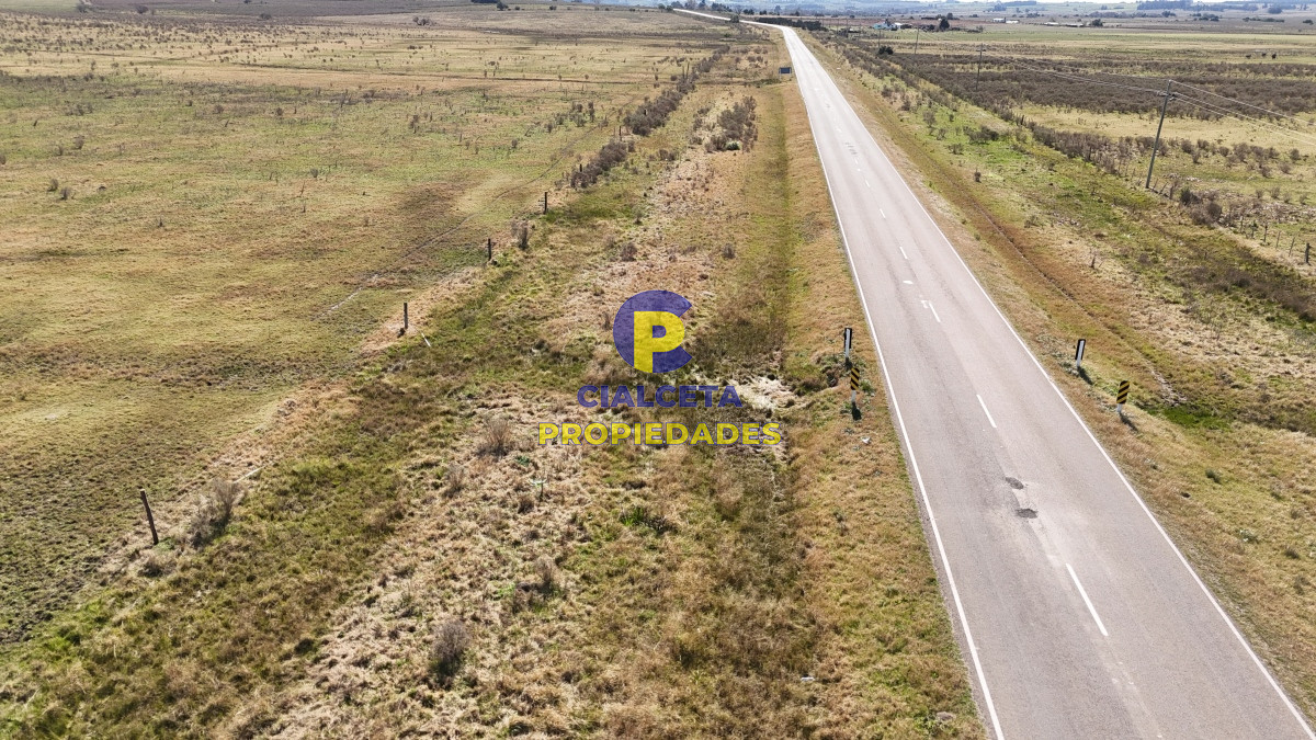 Campo Ref.500 - 92 hectáreas con cañada y buen acceso