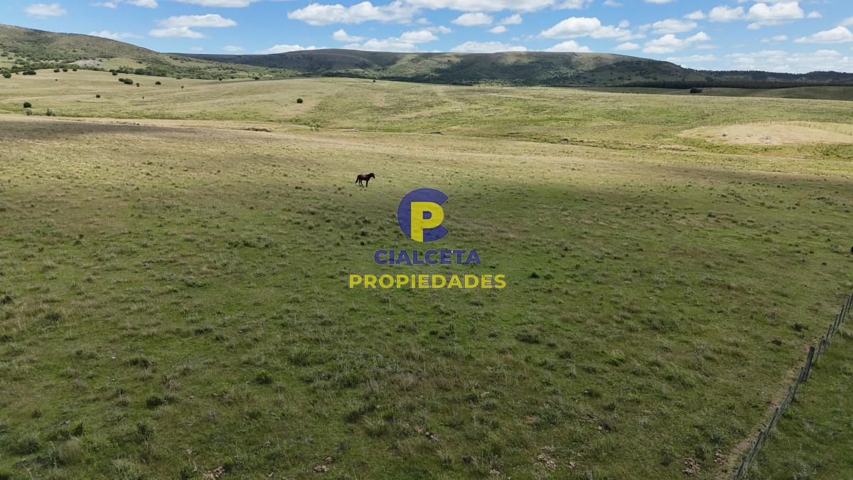 95 hectáreas ganadero forestal - GoPunta - Portal Inmobiliario de Punta del Este - Maldonado