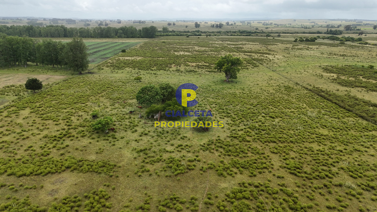 23 hectáreas y media con arroyo en el fondo - GoPunta - Portal Inmobiliario de Punta del Este - Maldonado