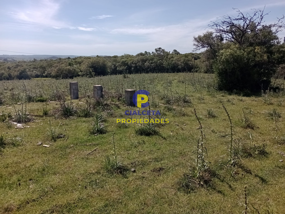54 hectáreas con 9.722 metros en Maldonado - GoPunta - Portal Inmobiliario de Punta del Este - Maldonado