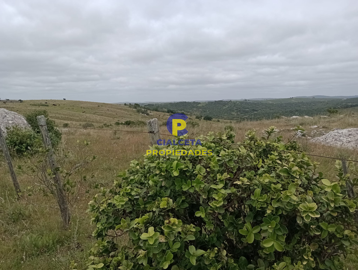 95 hectáreas en Carapé - GoPunta - Portal Inmobiliario de Punta del Este - Maldonado
