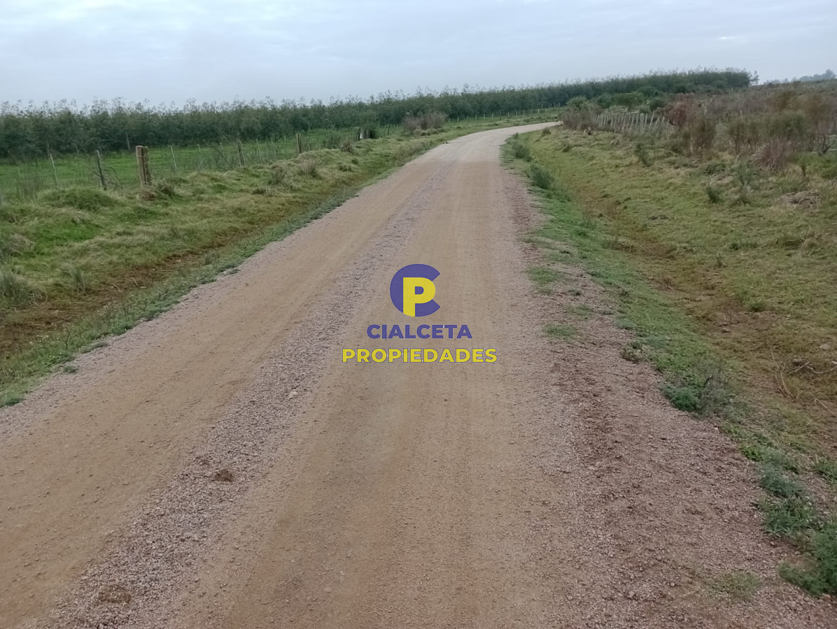 Campo Ref.217 - 664 hectáreas en Colonia