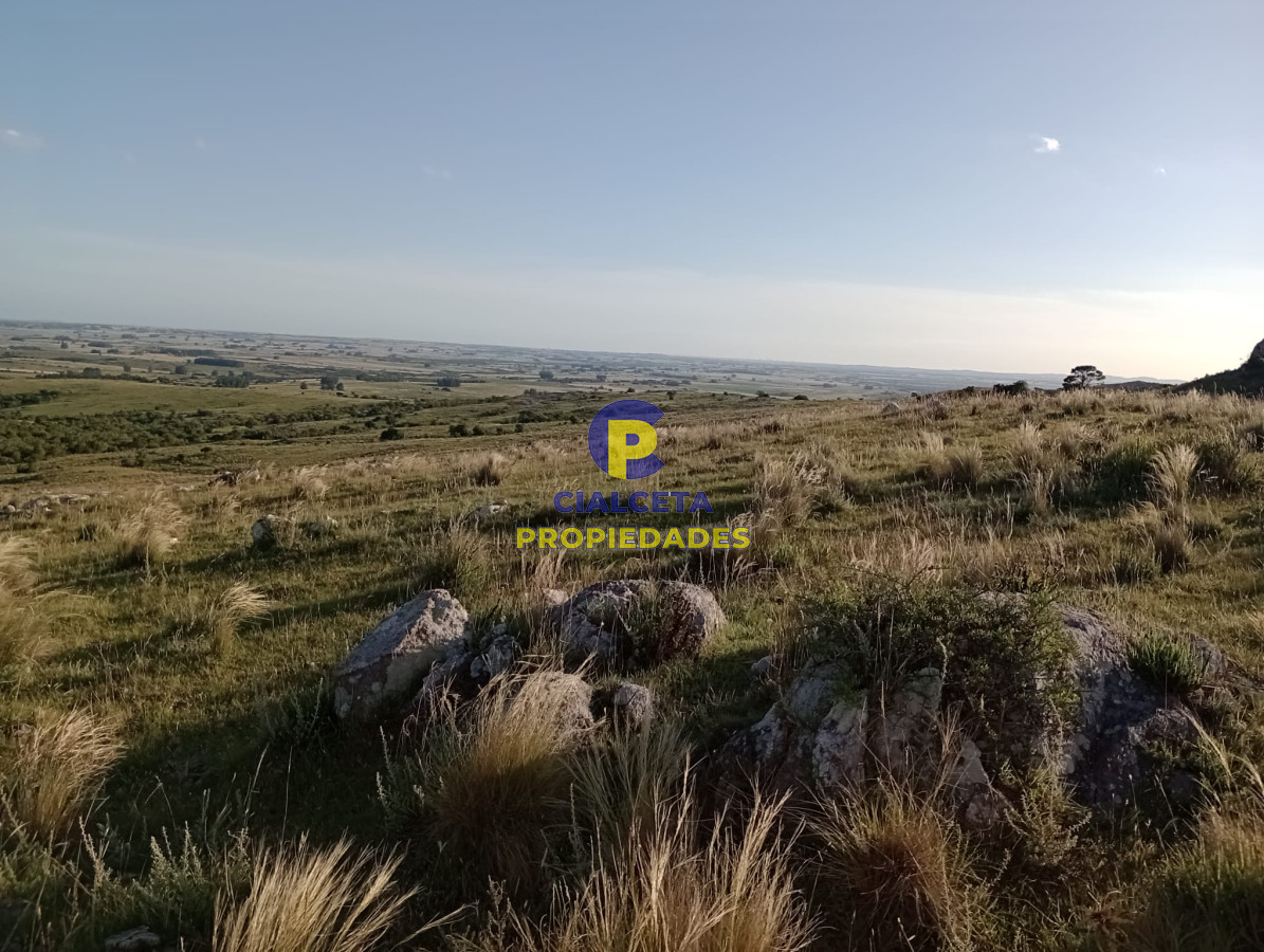 27 hectáreas en Maldonado, excelente vista - GoPunta - Portal Inmobiliario de Punta del Este - Maldonado
