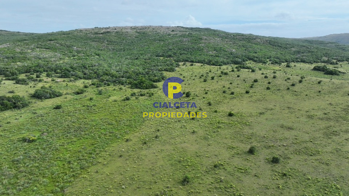 61 hectáreas en Maldonado - GoPunta - Portal Inmobiliario de Punta del Este - Maldonado