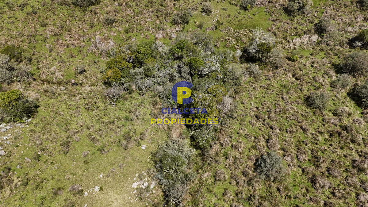3 hectáreas con cañada a 25 km de San Carlos, financiadas - GoPunta - Portal Inmobiliario de Punta del Este - Maldonado