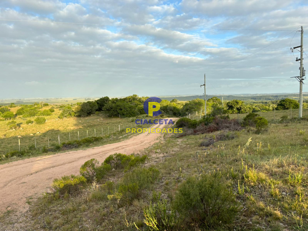 121 hectáreas en Rocha - GoPunta - Portal Inmobiliario de Punta del Este - Maldonado