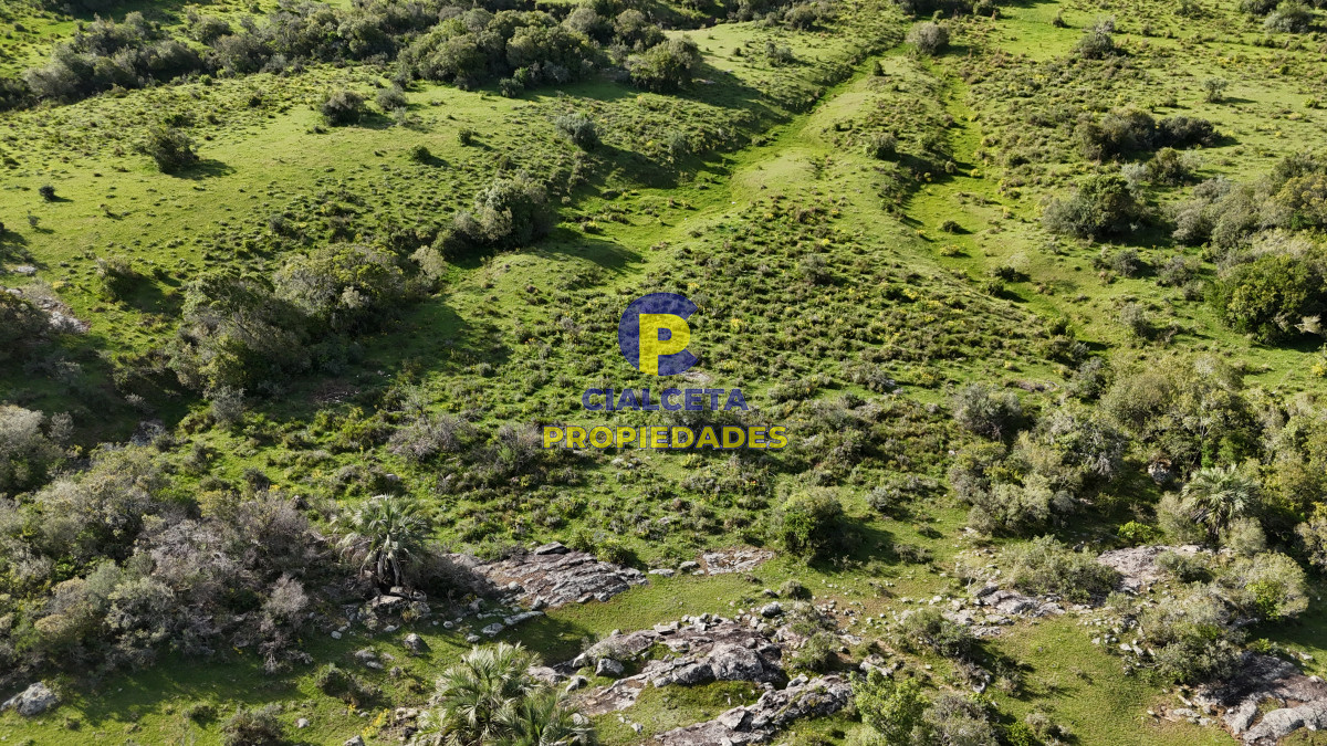 Campo Ref.548 - 30 hectáreas a 35 km de San Carlos
