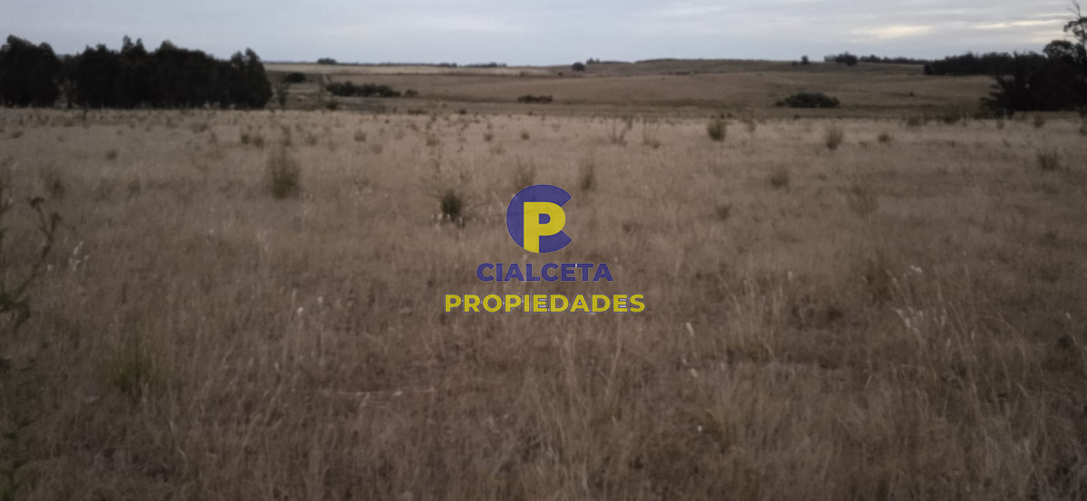 40 hectáreas en Lavalleja - GoPunta - Portal Inmobiliario de Punta del Este - Maldonado