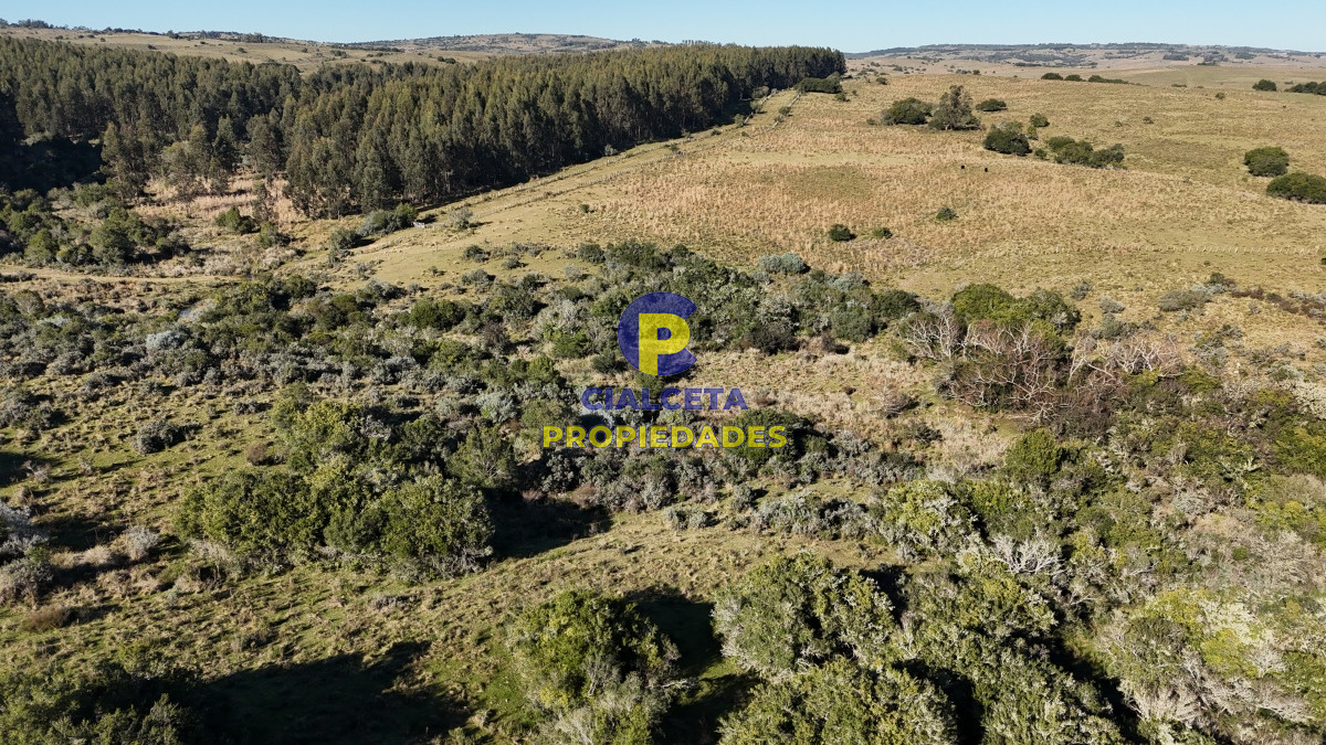 108 hectáreas a 12 km de Garzón, Maldonado - GoPunta - Portal Inmobiliario de Punta del Este - Maldonado