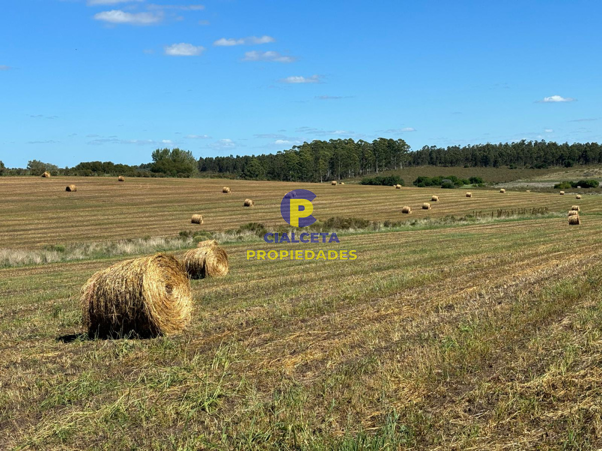 Linda fracción de 16 hectáreas y media con casa y galpón, buen acceso - GoPunta - Portal Inmobiliario de Punta del Este - Maldonado