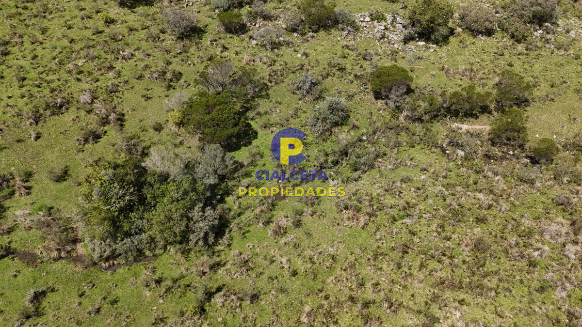 3 hectáreas con cañada a 25 km de San Carlos, financiadas - GoPunta - Portal Inmobiliario de Punta del Este - Maldonado