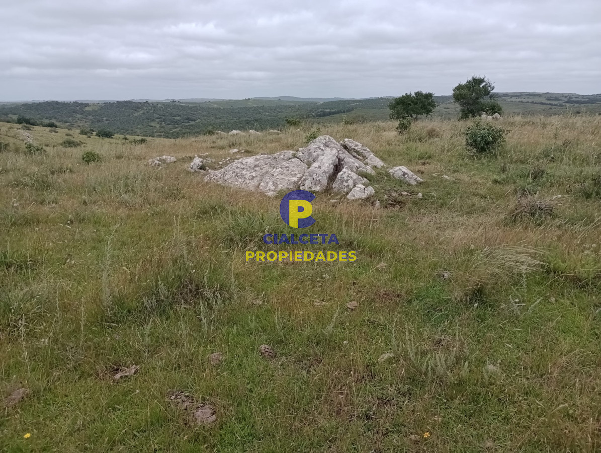95 hectáreas en Carapé - GoPunta - Portal Inmobiliario de Punta del Este - Maldonado