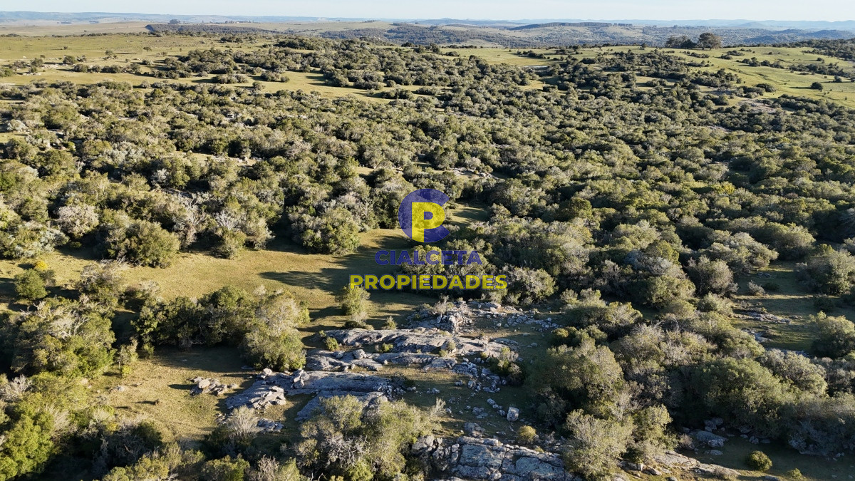 55 hectáreas con tajamar y monte nativo - GoPunta - Portal Inmobiliario de Punta del Este - Maldonado