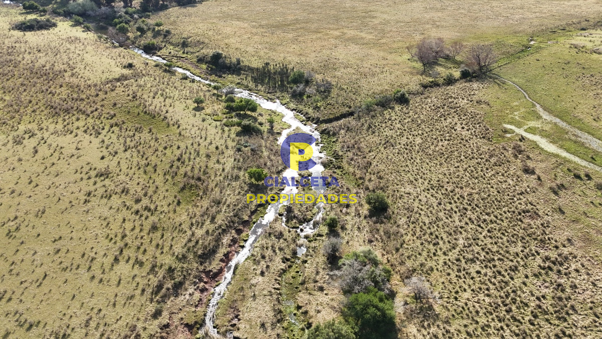 Campo Ref.497 - 40 hectáreas en Lavalleja a 10 km de Minas