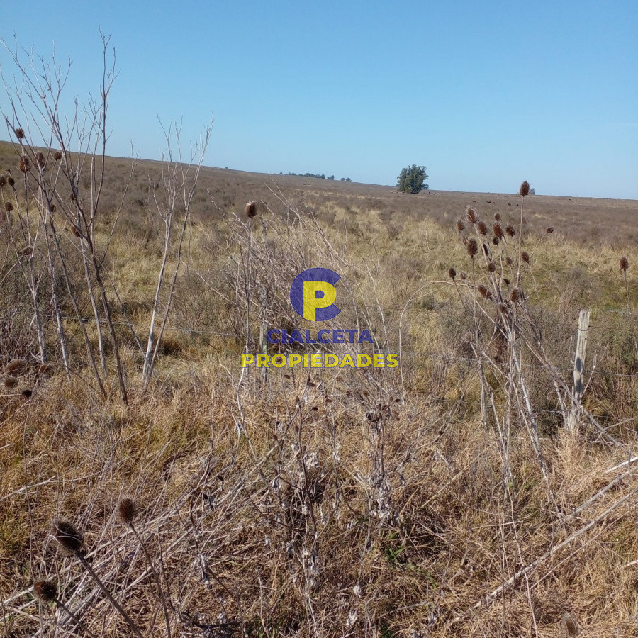 Campo Ref.97 - 130 hectáreas en Canelones