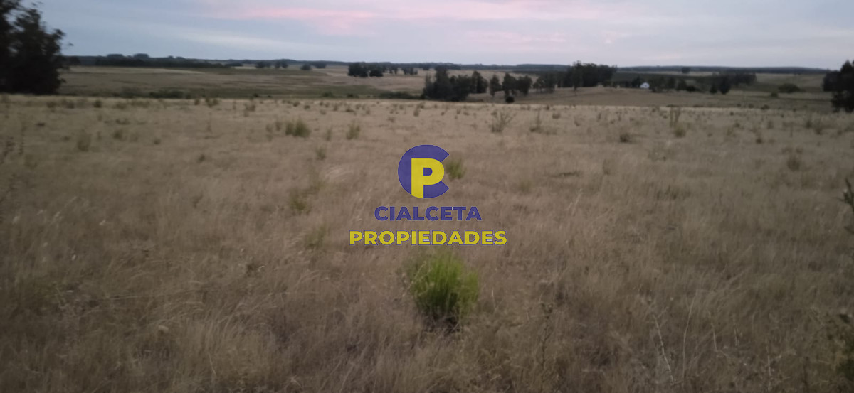40 hectáreas en Lavalleja - GoPunta - Portal Inmobiliario de Punta del Este - Maldonado