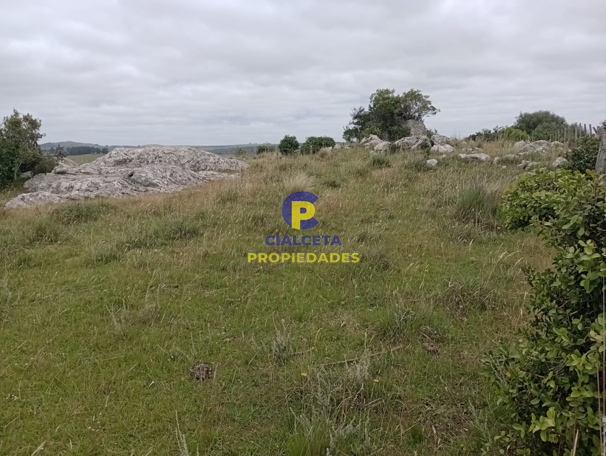 95 hectáreas en Carapé - GoPunta - Portal Inmobiliario de Punta del Este - Maldonado