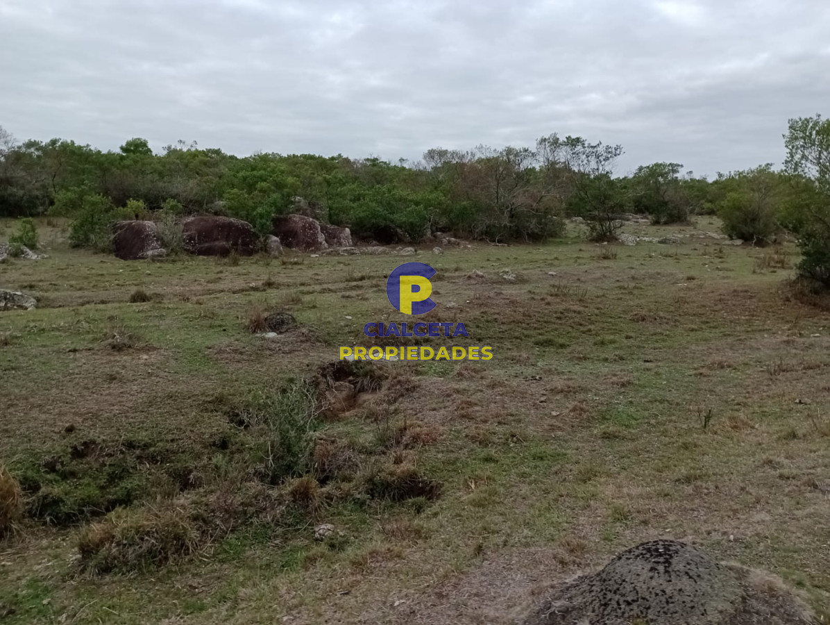 Campo Ref.217 - 664 hectáreas en Colonia