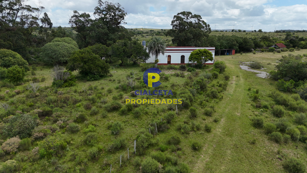 77 hectáreas en Maldonado, con casa - GoPunta - Portal Inmobiliario de Punta del Este - Maldonado