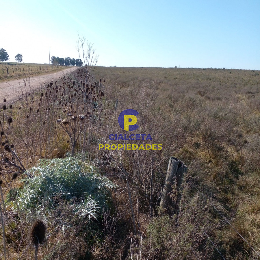 Campo Ref.97 - 130 hectáreas en Canelones