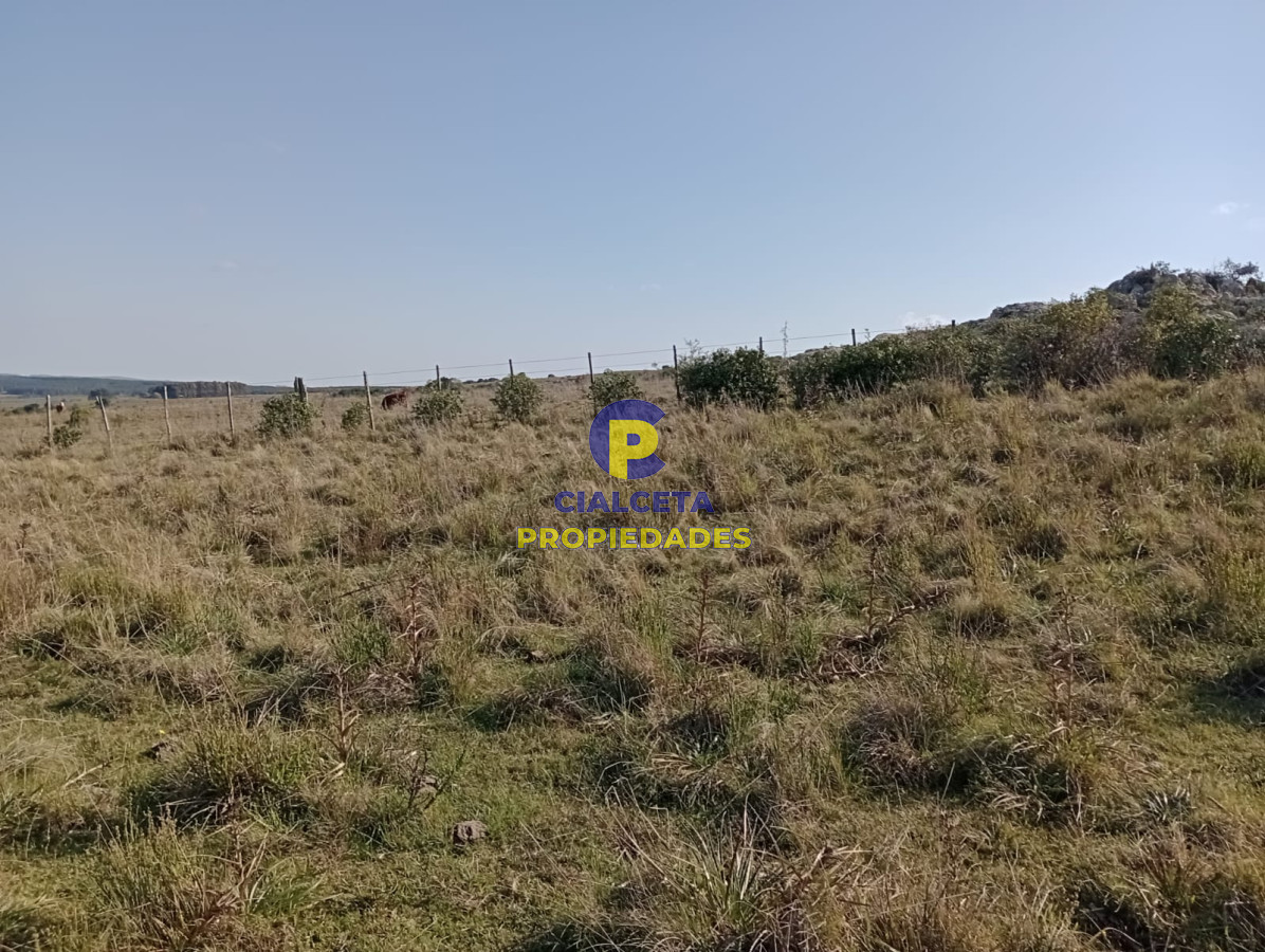 7 hectáreas en Maldonado, sobre camino - GoPunta - Portal Inmobiliario de Punta del Este - Maldonado