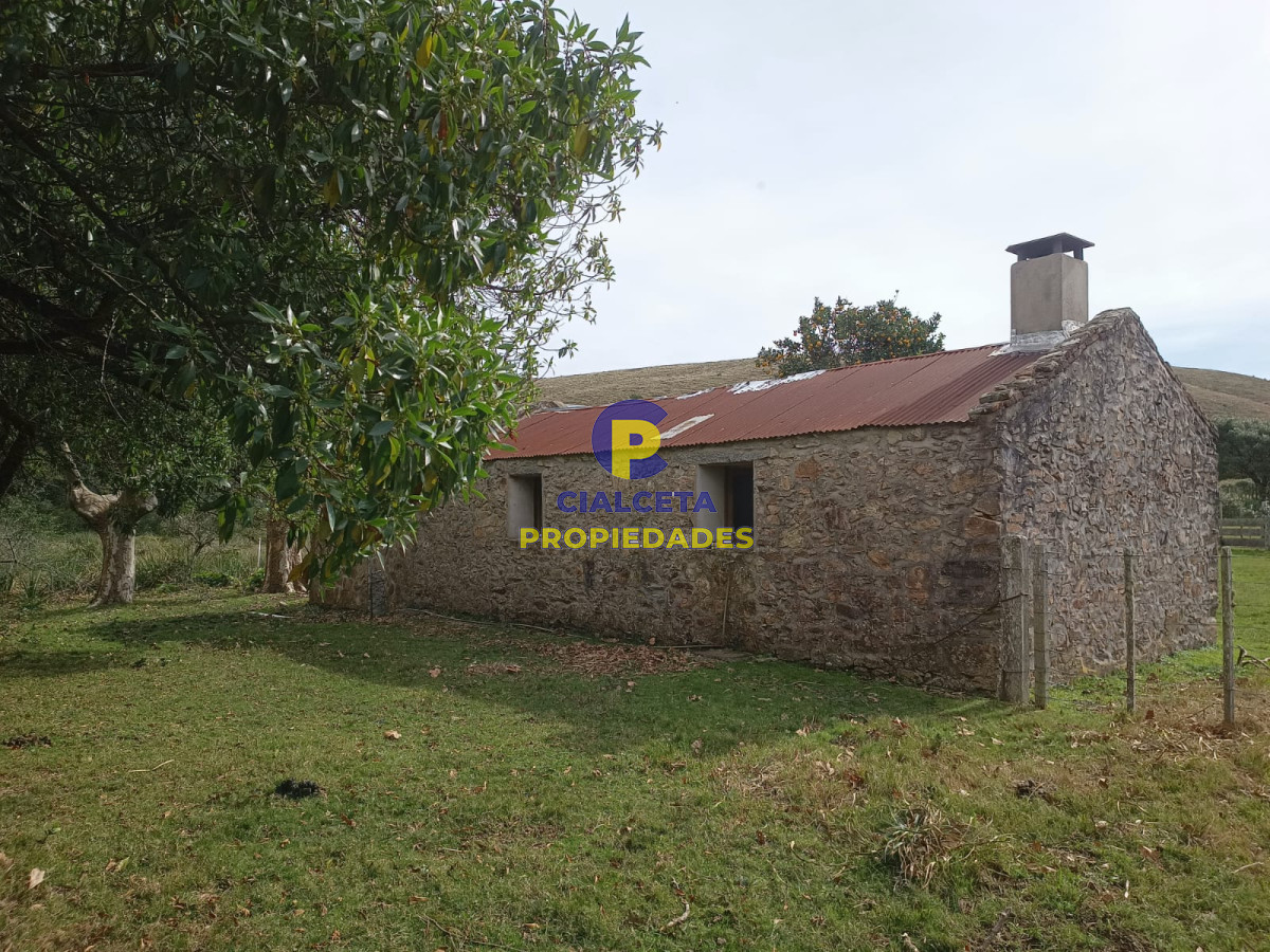 80 hectáreas en Maldonado - GoPunta - Portal Inmobiliario de Punta del Este - Maldonado