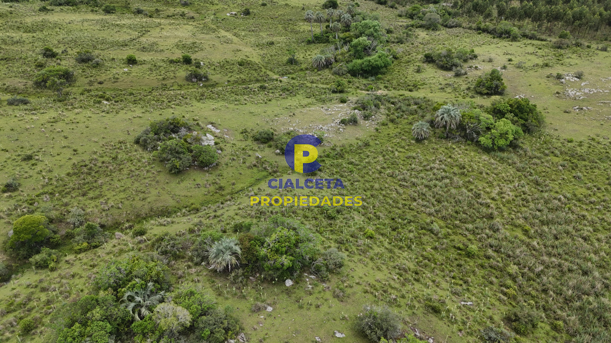 77 hectáreas en Maldonado, con casa - GoPunta - Portal Inmobiliario de Punta del Este - Maldonado