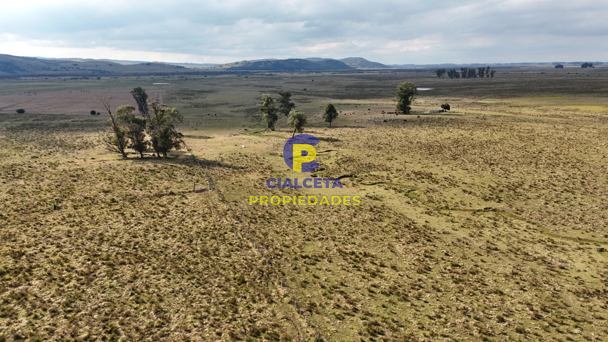 273 hectáreas en Maldonado - GoPunta - Portal Inmobiliario de Punta del Este - Maldonado