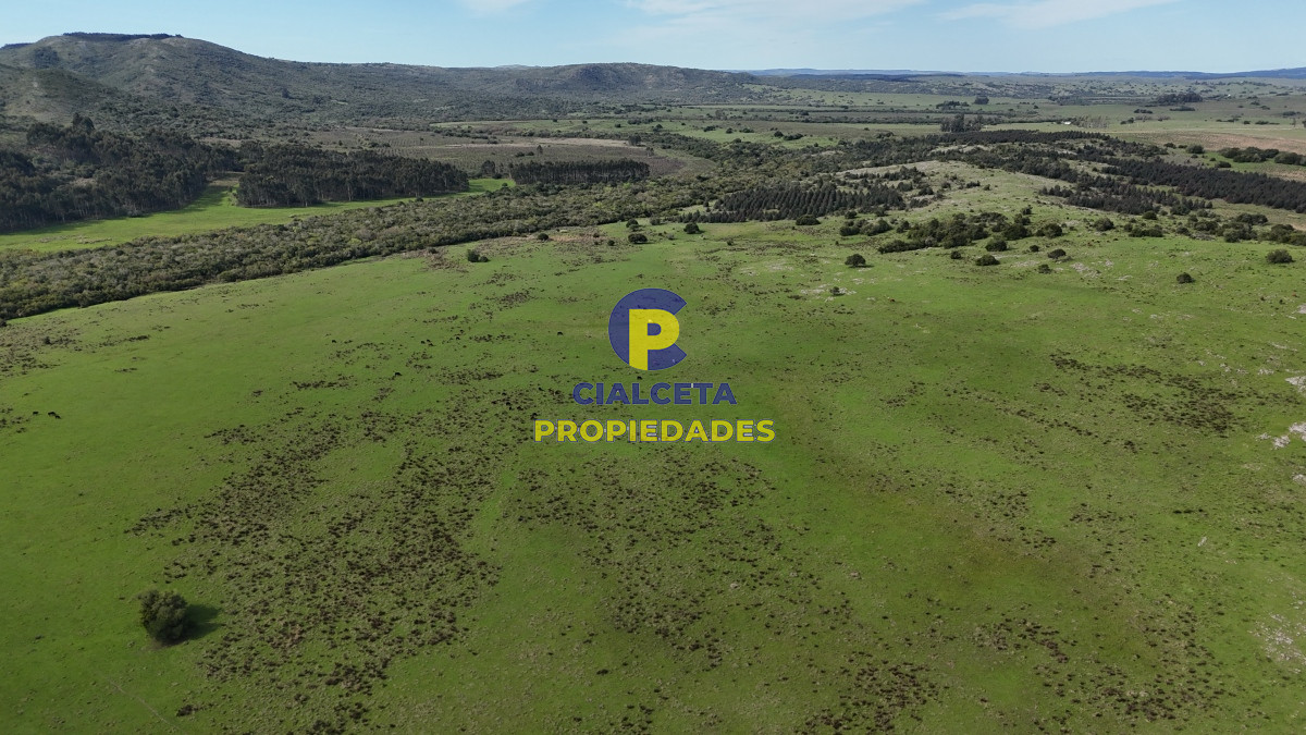 Campo Ref.537 - 149 hectáreas con arroyo en Lavalleja