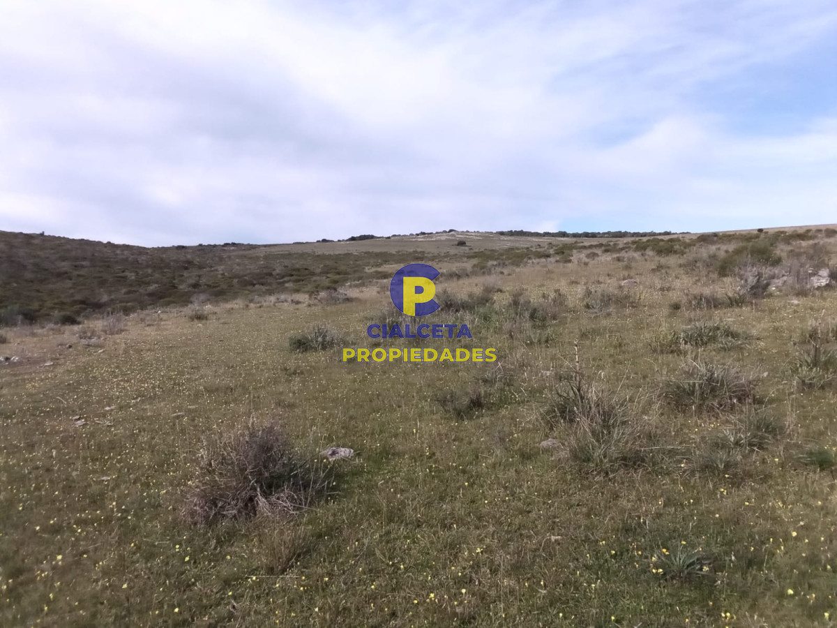 Campo Ref.100 - 106 hectáreas en lavalleja