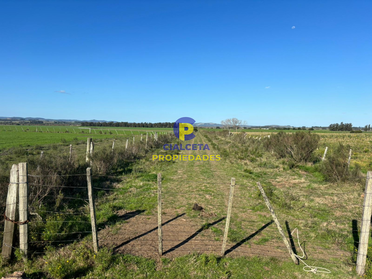 15 hectáreas y media con arroyo - GoPunta - Portal Inmobiliario de Punta del Este - Maldonado