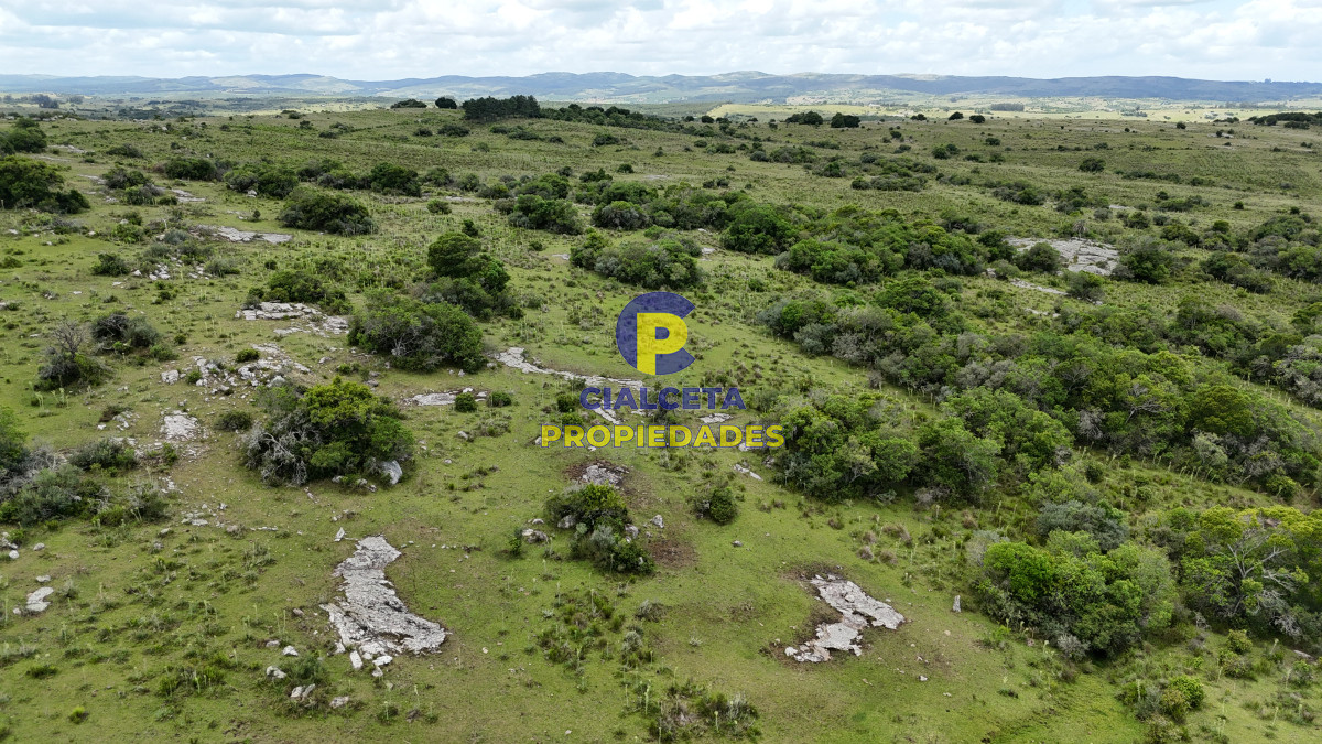 77 hectáreas en Maldonado, con casa - GoPunta - Portal Inmobiliario de Punta del Este - Maldonado