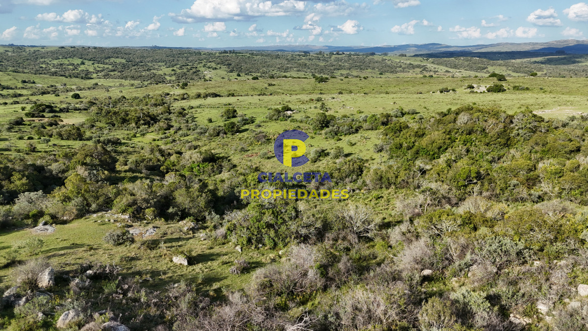 30 hectáreas a 35 km de San Carlos - GoPunta - Portal Inmobiliario de Punta del Este - Maldonado