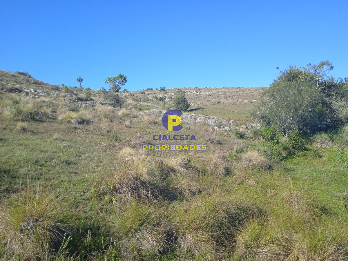 5 hectáreas, Las Palmas - GoPunta - Portal Inmobiliario de Punta del Este - Maldonado