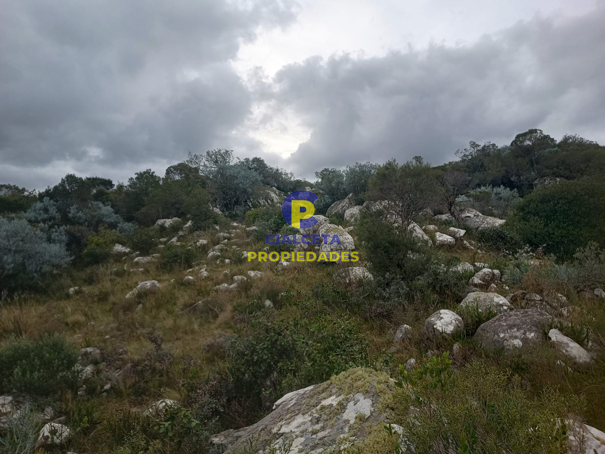 38 hectáreas en Aiguá - GoPunta - Portal Inmobiliario de Punta del Este - Maldonado