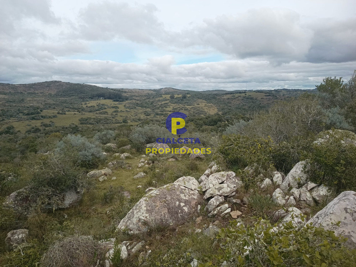 38 hectáreas en Aiguá - GoPunta - Portal Inmobiliario de Punta del Este - Maldonado