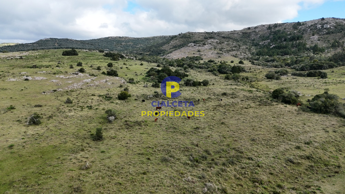 25 hectáreas con 7 mil metros en Lavalleja, con cañada - GoPunta - Portal Inmobiliario de Punta del Este - Maldonado