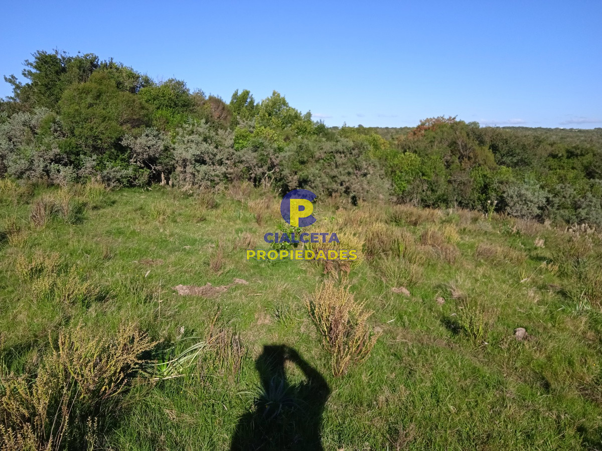 Campo Ref.96 - 155 hectáreas con casa, instalaciones