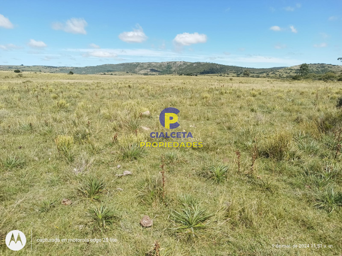 16 hectáreas en Minas a la venta - GoPunta - Portal Inmobiliario de Punta del Este - Maldonado