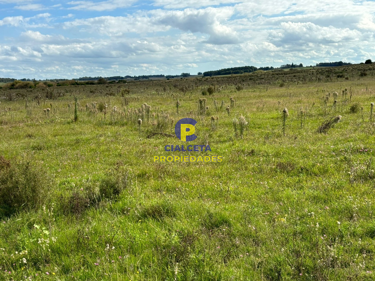 Campo Ref.415 - 92 hectáreas en Migues
