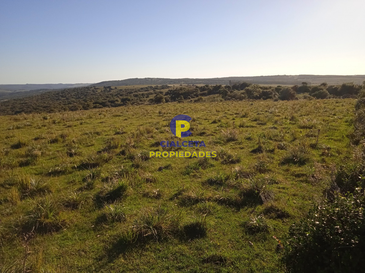 Campo Ref.96 - 155 hectáreas con casa, instalaciones