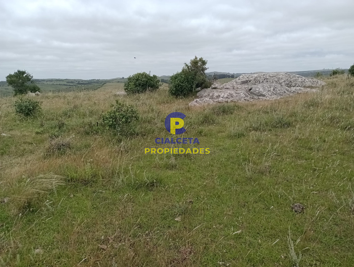 95 hectáreas en Carapé - GoPunta - Portal Inmobiliario de Punta del Este - Maldonado