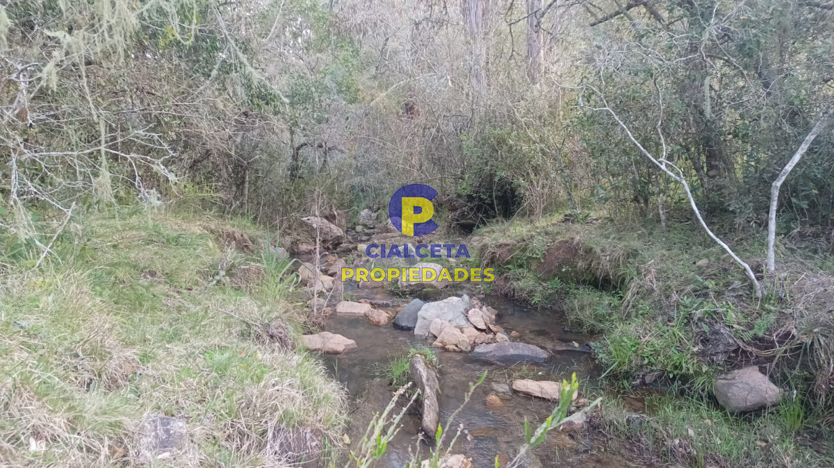 5  hectáreas con monte nativo y linda vista - GoPunta - Portal Inmobiliario de Punta del Este - Maldonado