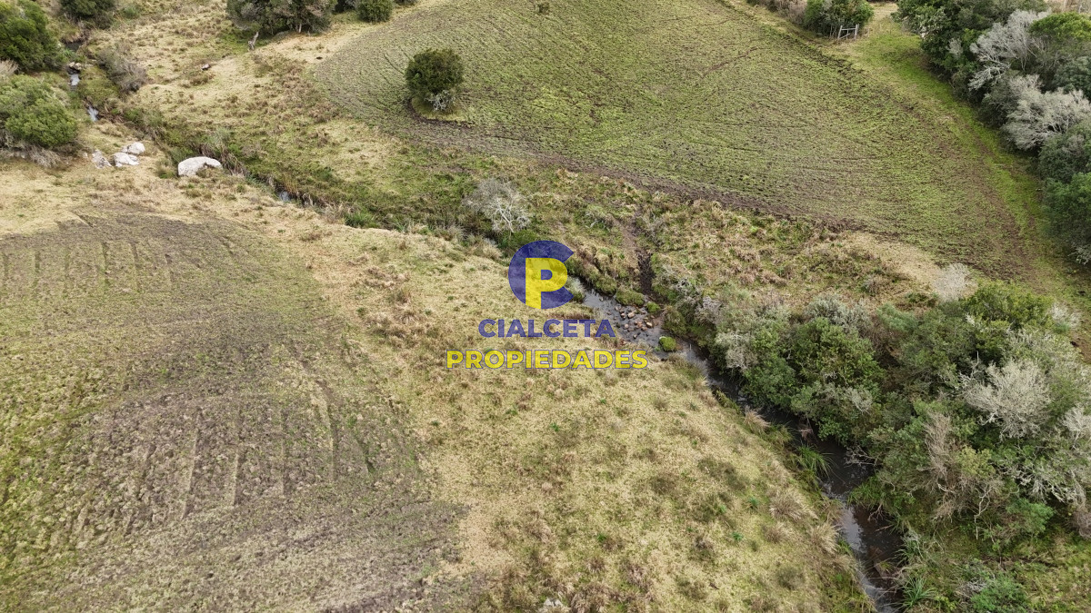 Campo Ref.490 - 267 hectáreas en Maldonado