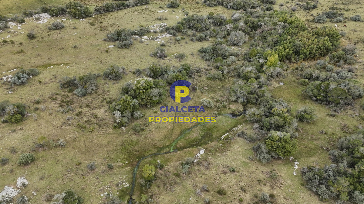 26 hectáreas y media con cañada - GoPunta - Portal Inmobiliario de Punta del Este - Maldonado