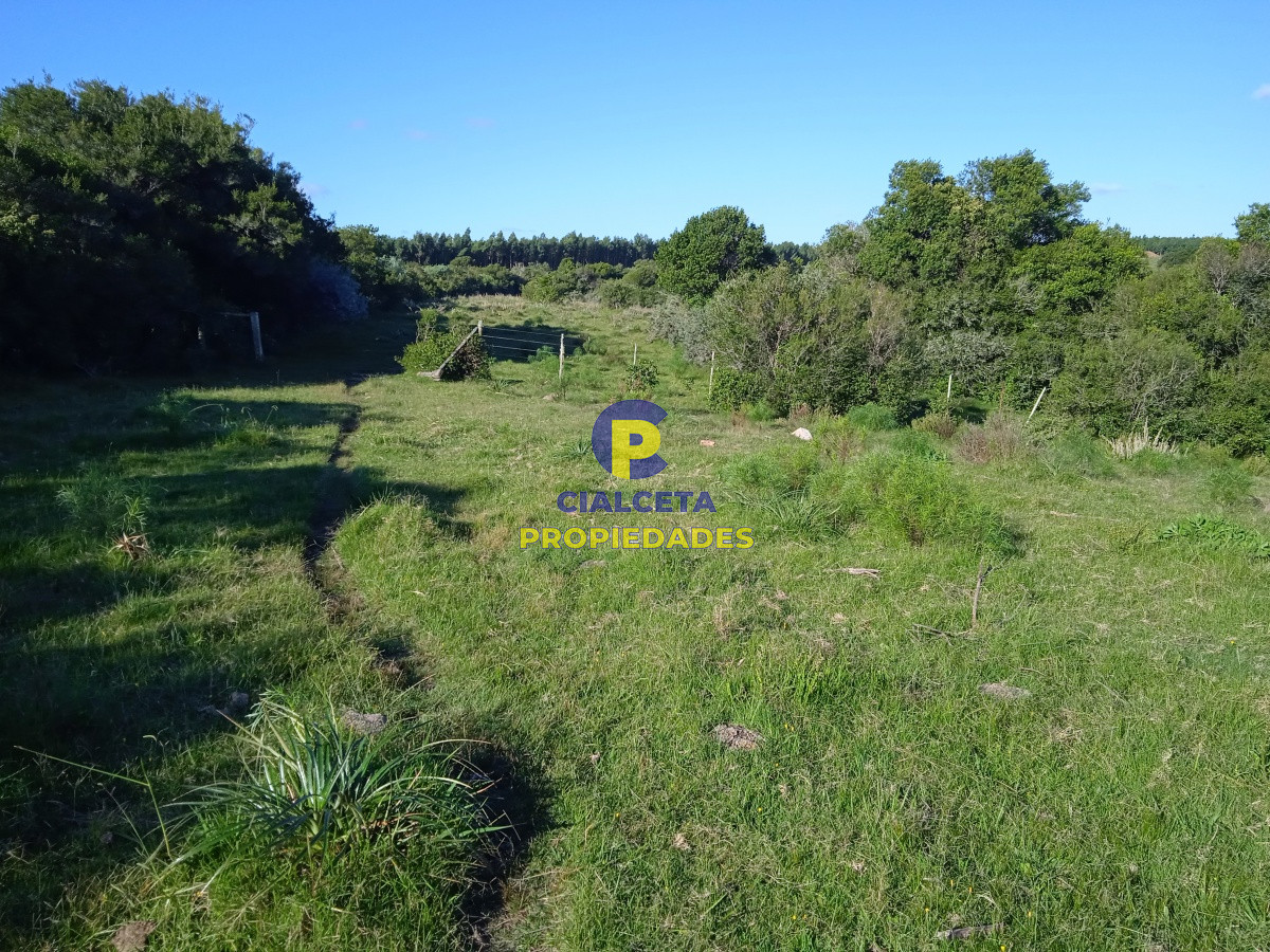Campo Ref.96 - 155 hectáreas con casa, instalaciones